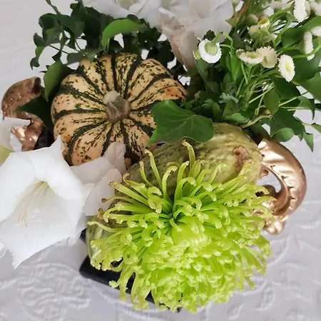 Kleine Iphofen, Frühstückszauber, No Waste, Nachhaltig, Nahe Aller Weingüter, Knauf Gips Kg Und Connekt, Kleines Secret Mit Garten&terrassen, Tv Mirrorring, 55 Tv, Fine Dining, Hunde Willkommen Hotel