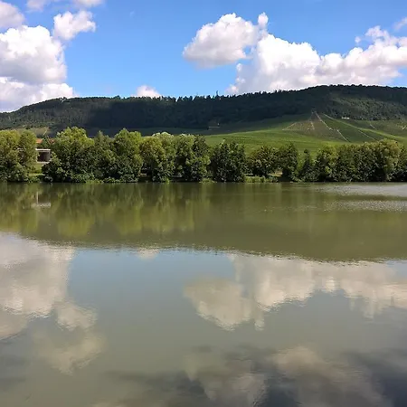 Hotel Kleine Iphofen, Frühstückszauber, No Waste, Nachhaltig, Nahe Aller Weingüter, Knauf Gips Kg Und Connekt, Kleines Secret Mit Garten&terrassen, Tv Mirrorring, 55 Tv, Fine Dining, Hunde Willkommen