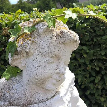 Hotel Kleine Iphofen, Frühstückszauber, No Waste, Nachhaltig, Nahe Aller Weingüter, Knauf Gips Kg Und Connekt, Kleines Secret Mit Garten&terrassen, Tv Mirrorring, 55 Tv, Fine Dining, Hunde Willkommen
