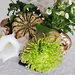 Kleine Iphofen, Fruehstueckszauber, No Waste, Nachhaltig, Nahe Aller Weingueter, Knauf Gips Kg Und Connekt, Kleines Secret Mit Garten & Terrassen, Tv Mirrorring, 55