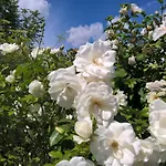 Hotel Kleine Iphofen, Fruehstueckszauber, No Waste, Nachhaltig, Nahe Aller Weingueter, Knauf Gips Kg Und Connekt, Kleines Secret Mit Garten & Terrassen, Tv Mirrorring, 55