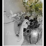 Hotel Kleine Iphofen, Fruehstueckszauber, No Waste, Nachhaltig, Nahe Aller Weingueter, Knauf Gips Kg Und Connekt, Kleines Secret Mit Garten & Terrassen, Tv Mirrorring, 55