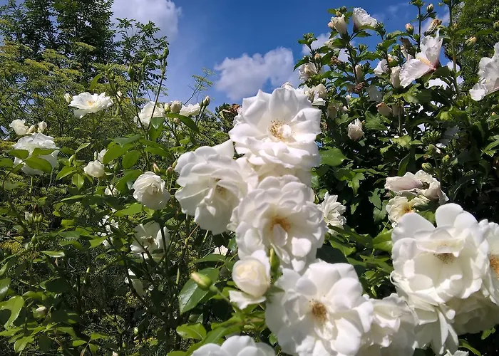 מלון Kleine Iphofen, Fruehstueckszauber, No Waste, Nachhaltig, Nahe Aller Weingueter, Knauf Gips Kg Und Connekt, Kleines Secret Mit Garten & Terrassen, Tv Mirrorring, 55