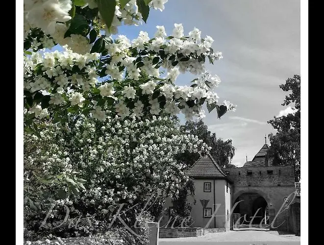Kleine Iphofen, Fruehstueckszauber, No Waste, Nachhaltig, Nahe Aller Weingueter, Knauf Gips Kg Und Connekt, Kleines Secret Mit Garten & Terrassen, Tv Mirrorring, 55